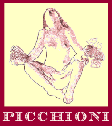 Logo Vini Picchioni