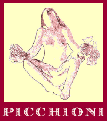 vedi sito picchioni